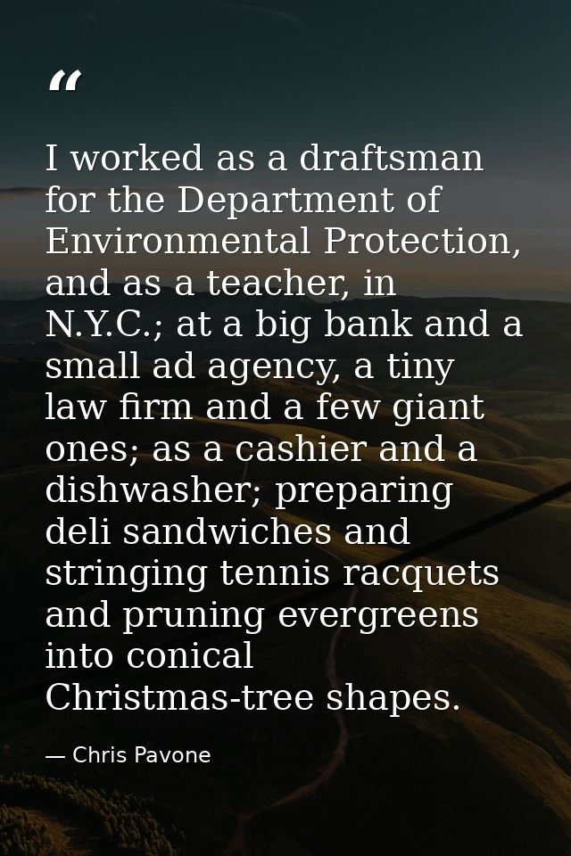I worked as a draftsman for the Department of Environmental Protection, and as a teacher, in N.Y.C.; at a big bank and a — Chris Pavone