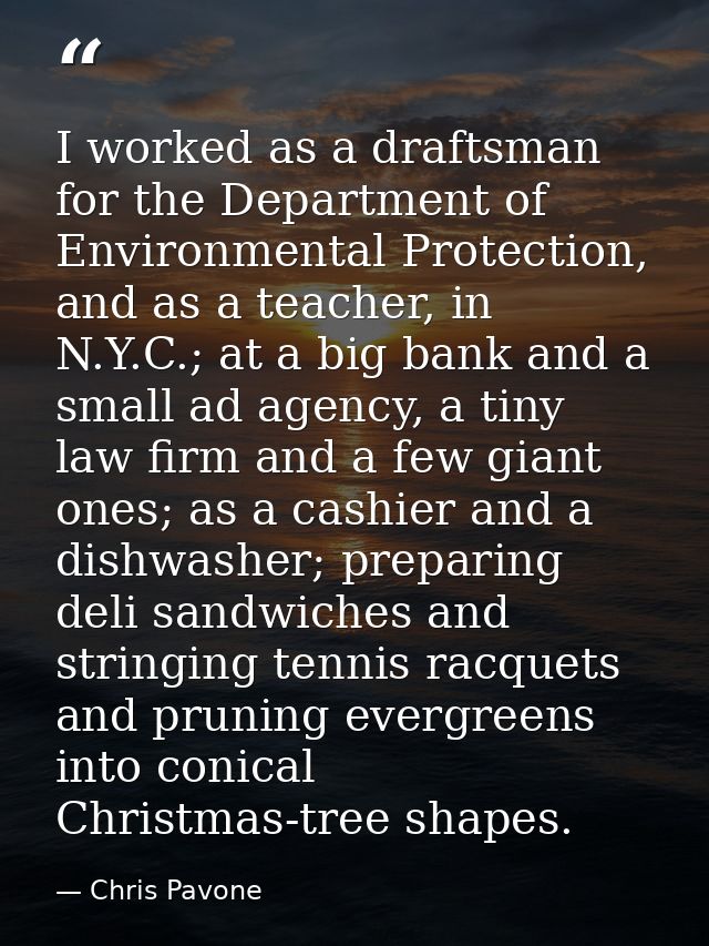 I worked as a draftsman for the Department of Environmental Protection, and as a teacher, in N.Y.C.; at a big bank and a — Chris Pavone