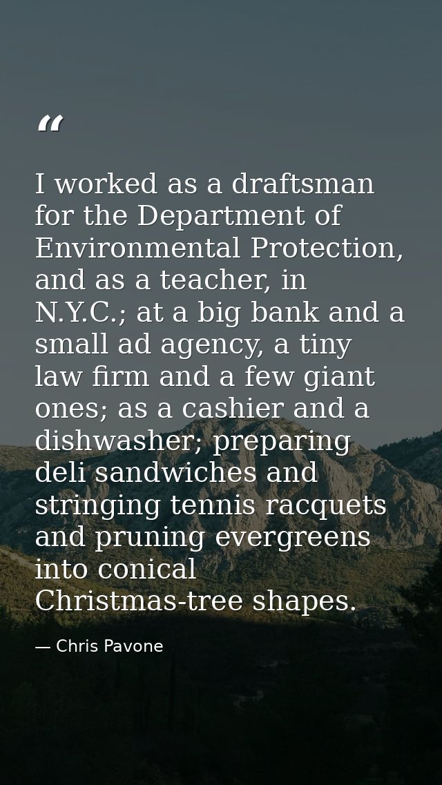 I worked as a draftsman for the Department of Environmental Protection, and as a teacher, in N.Y.C.; at a big bank and a — Chris Pavone