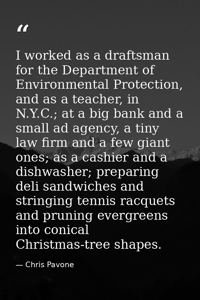 I worked as a draftsman for the Department of Environmental Protection, and as a teacher, in N.Y.C.; at a big bank and a — Chris Pavone