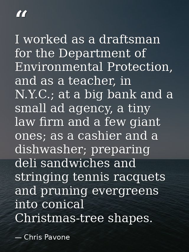I worked as a draftsman for the Department of Environmental Protection, and as a teacher, in N.Y.C.; at a big bank and a — Chris Pavone