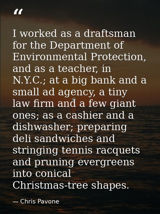 I worked as a draftsman for the Department of Environmental Protection, and as a teacher, in N.Y.C.; at a big bank and a — Chris Pavone