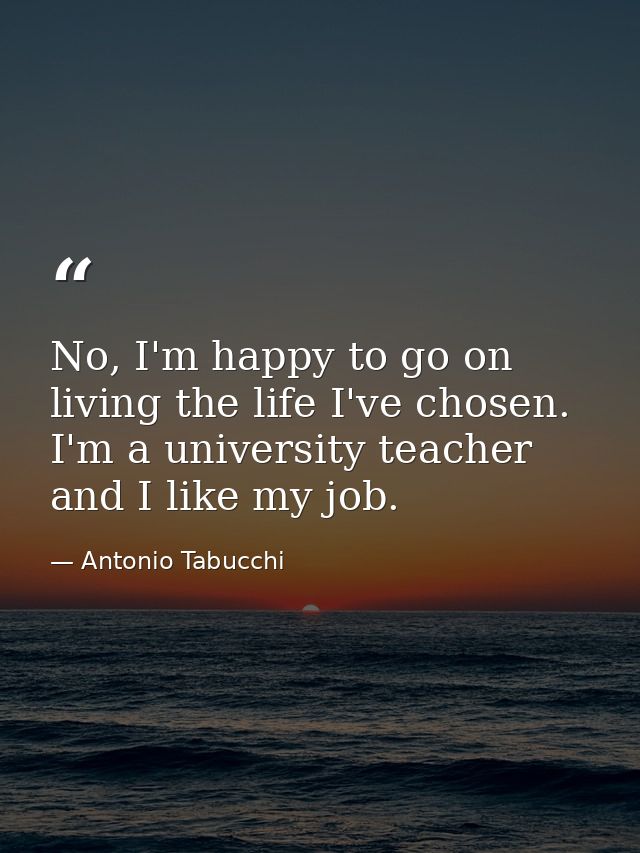 No, I'm happy to go on living the life I've chosen. I'm a university teacher and I like my job. — Antonio Tabucchi