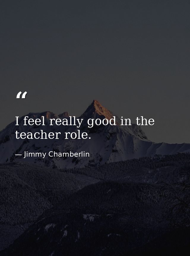 I feel really good in the teacher role. — Jimmy Chamberlin