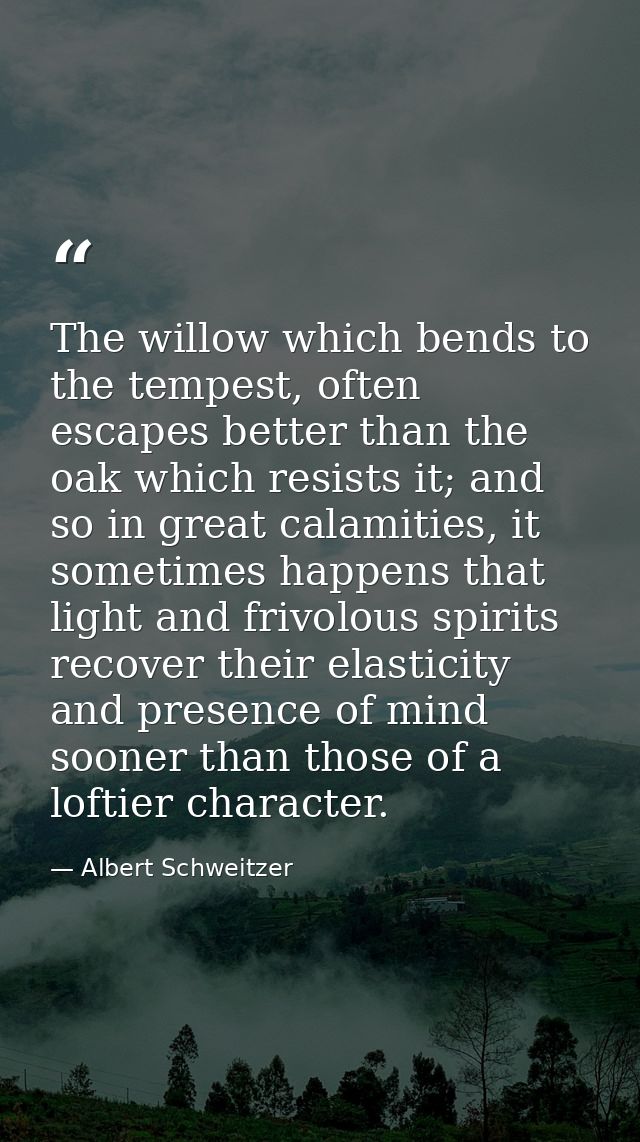 The willow which bends to the tempest, often escapes better than the oak which resists it; and so in great calamities, i — Albert Schweitzer