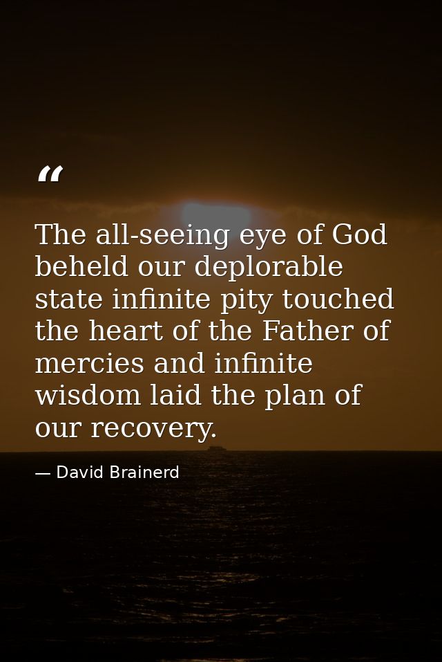 The all-seeing eye of God beheld our deplorable state infinite pity touched the heart of the Father of mercies and infin — David Brainerd