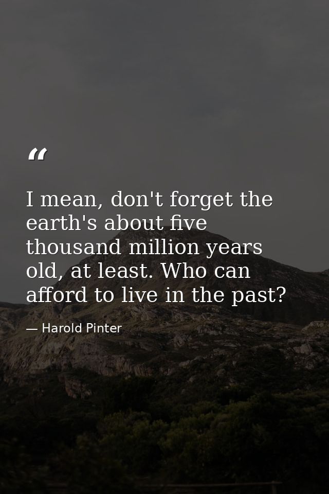 I mean, don't forget the earth's about five thousand million years old, at least. Who can afford to live in the past? — Harold Pinter