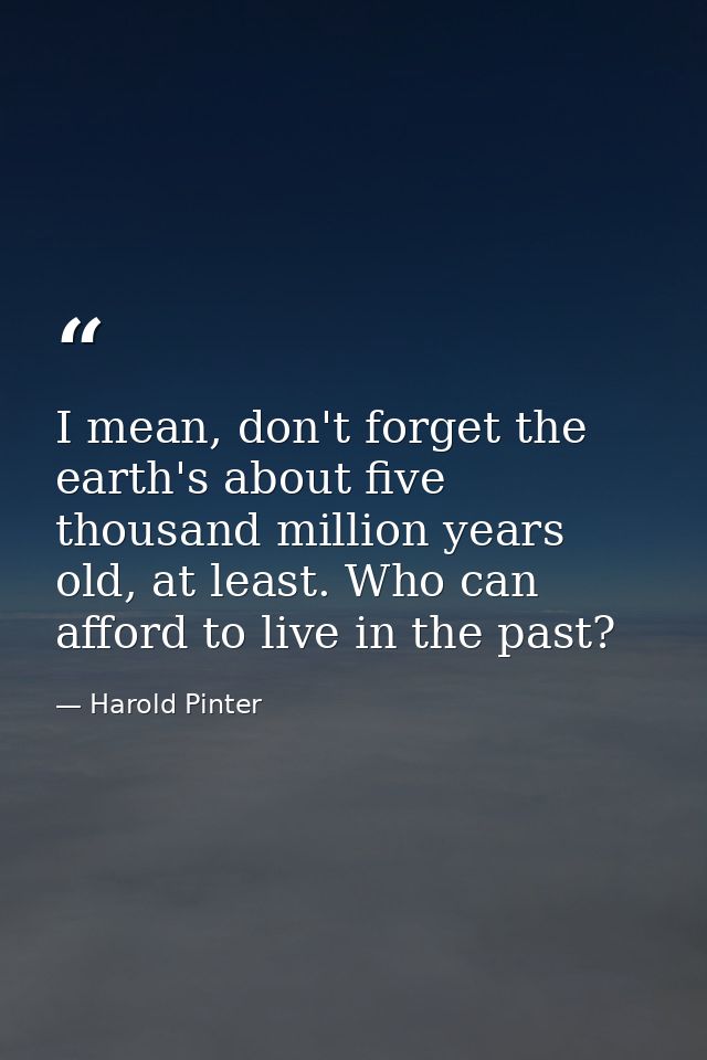 I mean, don't forget the earth's about five thousand million years old, at least. Who can afford to live in the past? — Harold Pinter
