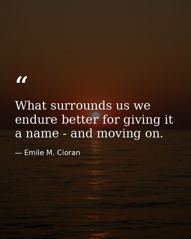 What surrounds us we endure better for giving it a name - and moving on. — Emile M. Cioran