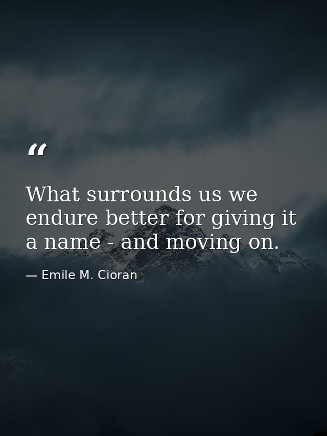 What surrounds us we endure better for giving it a name - and moving on. — Emile M. Cioran