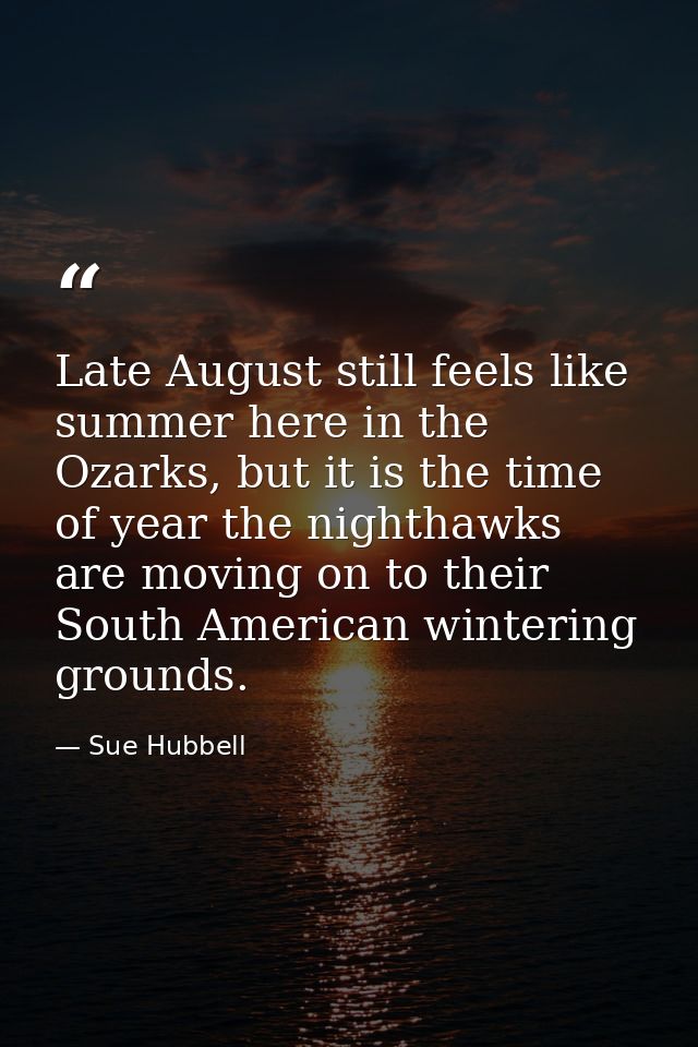 Late August still feels like summer here in the Ozarks, but it is the time of year the nighthawks are moving on to their — Sue Hubbell