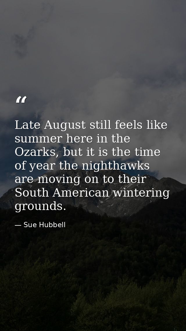 Late August still feels like summer here in the Ozarks, but it is the time of year the nighthawks are moving on to their — Sue Hubbell