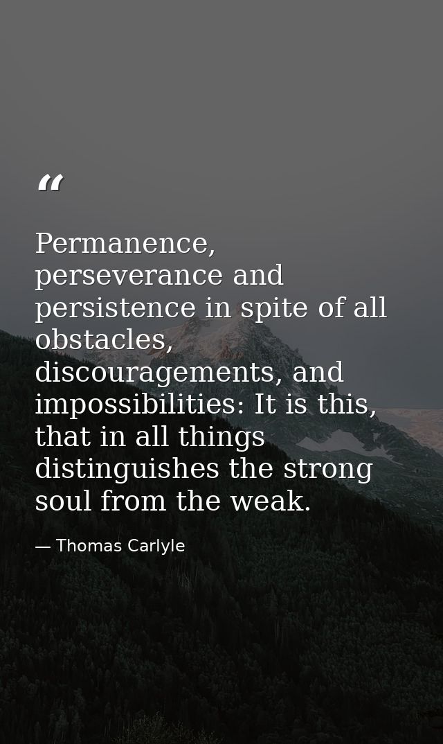 Permanence, perseverance and persistence in spite of all obstacles, discouragements, and impossibilities: It is this, th — Thomas Carlyle