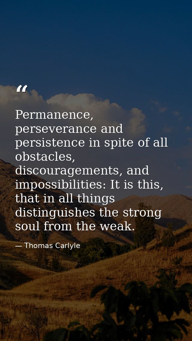 Permanence, perseverance and persistence in spite of all obstacles, discouragements, and impossibilities: It is this, th — Thomas Carlyle