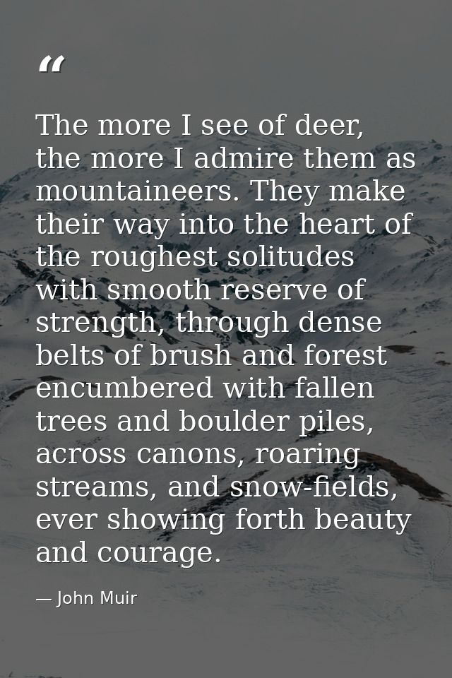 The more I see of deer, the more I admire them as mountaineers. They make their way into the heart of the roughest solit — John Muir