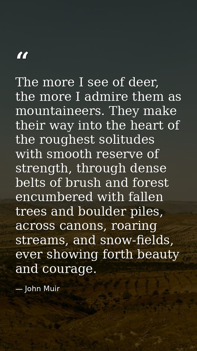 The more I see of deer, the more I admire them as mountaineers. They make their way into the heart of the roughest solit — John Muir