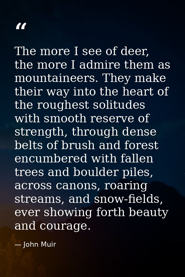 The more I see of deer, the more I admire them as mountaineers. They make their way into the heart of the roughest solit — John Muir