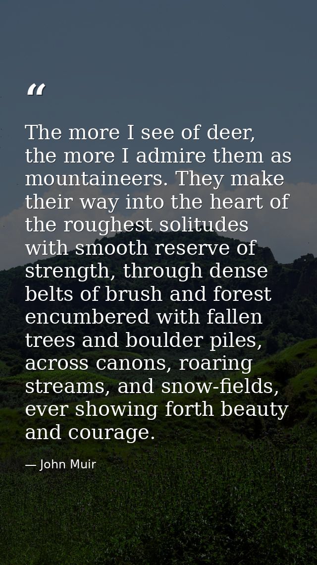 The more I see of deer, the more I admire them as mountaineers. They make their way into the heart of the roughest solit — John Muir