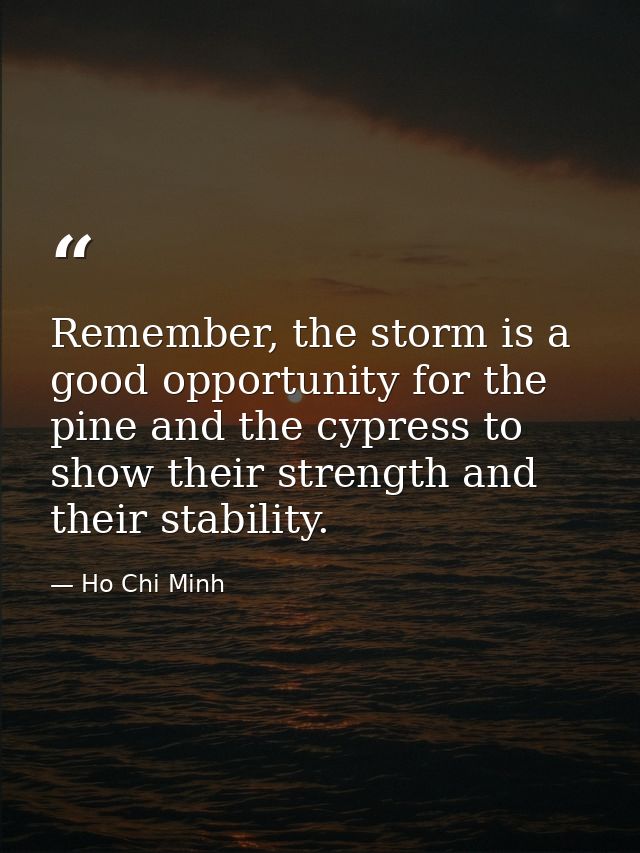 Remember, the storm is a good opportunity for the pine and the cypress to show their strength and their stability. — Ho Chi Minh