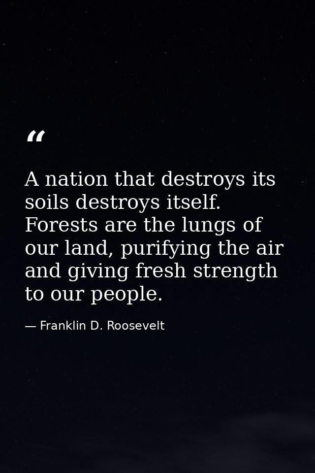 A nation that destroys its soils destroys itself. Forests are the lungs of our land, purifying the air and giving fresh  — Franklin D. Roosevelt
