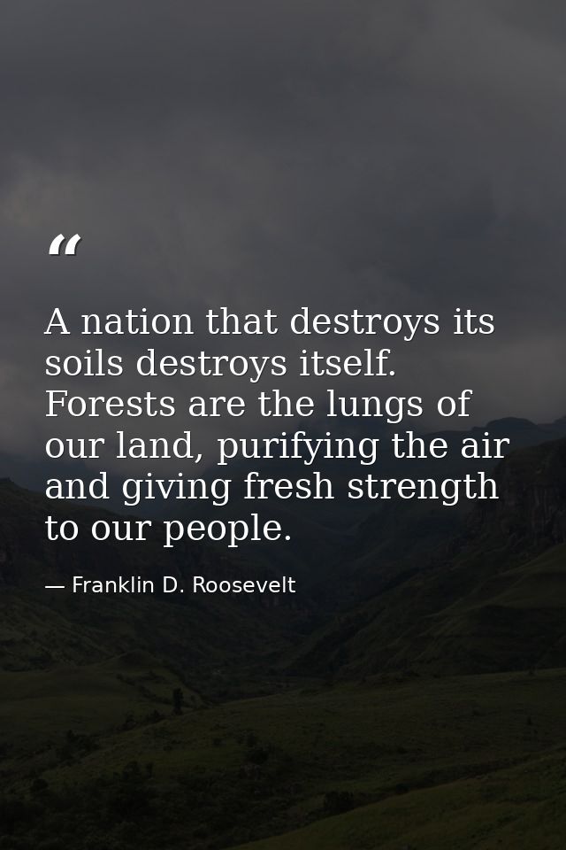 A nation that destroys its soils destroys itself. Forests are the lungs of our land, purifying the air and giving fresh  — Franklin D. Roosevelt