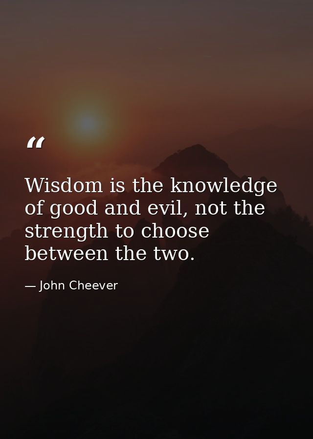 Wisdom is the knowledge of good and evil, not the strength to choose between the two. — John Cheever