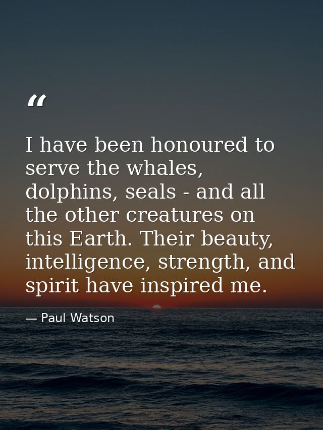 I have been honoured to serve the whales, dolphins, seals - and all the other creatures on this Earth. Their beauty, int — Paul Watson