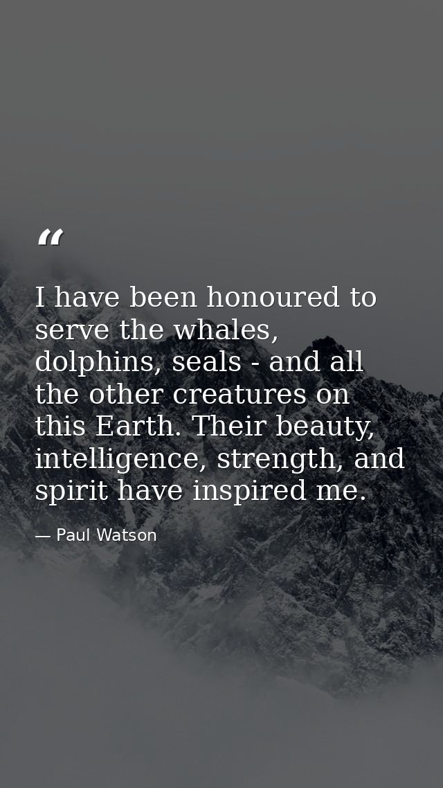 I have been honoured to serve the whales, dolphins, seals - and all the other creatures on this Earth. Their beauty, int — Paul Watson