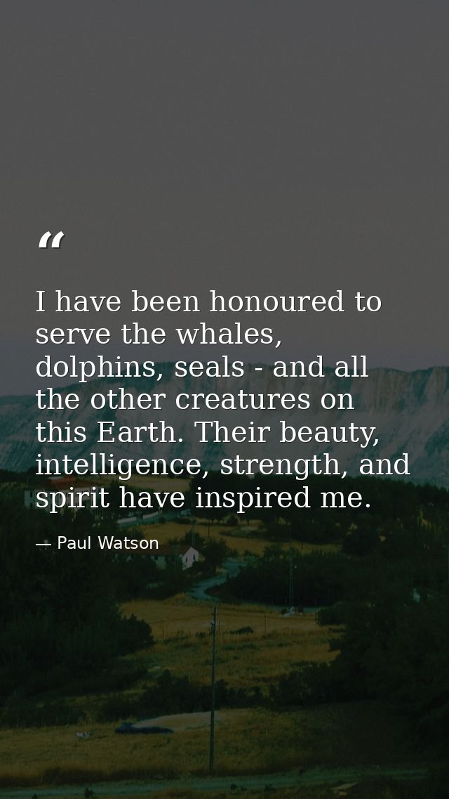 I have been honoured to serve the whales, dolphins, seals - and all the other creatures on this Earth. Their beauty, int — Paul Watson
