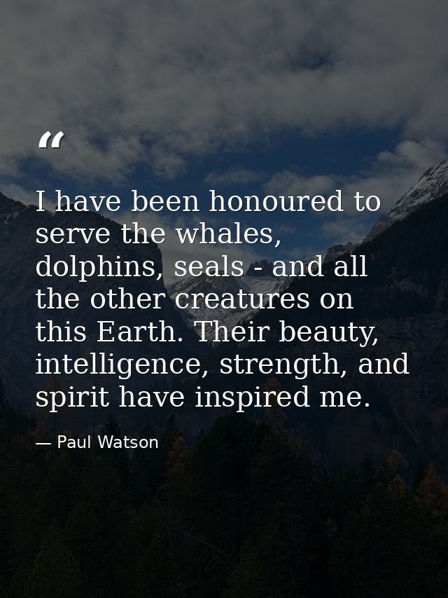 I have been honoured to serve the whales, dolphins, seals - and all the other creatures on this Earth. Their beauty, int — Paul Watson