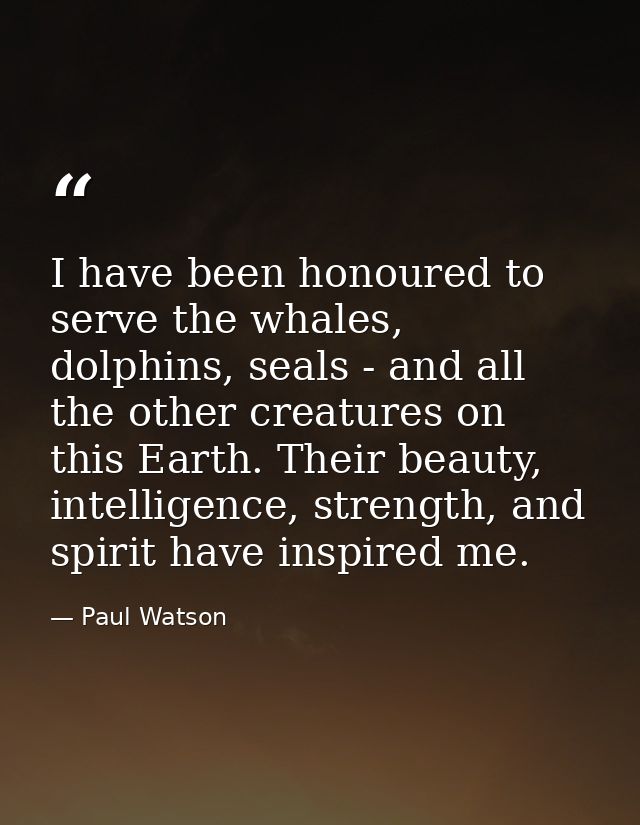 I have been honoured to serve the whales, dolphins, seals - and all the other creatures on this Earth. Their beauty, int — Paul Watson