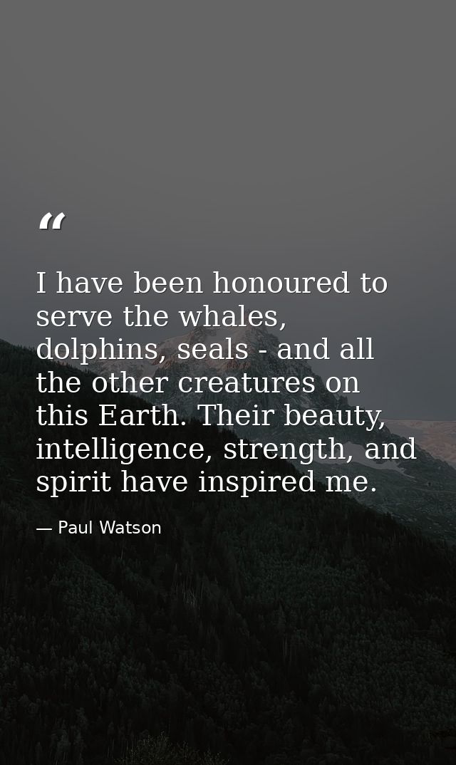 I have been honoured to serve the whales, dolphins, seals - and all the other creatures on this Earth. Their beauty, int — Paul Watson