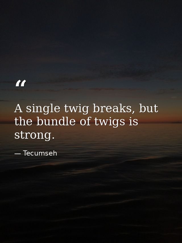 A single twig breaks, but the bundle of twigs is strong. — Tecumseh