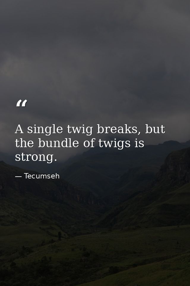 A single twig breaks, but the bundle of twigs is strong. — Tecumseh