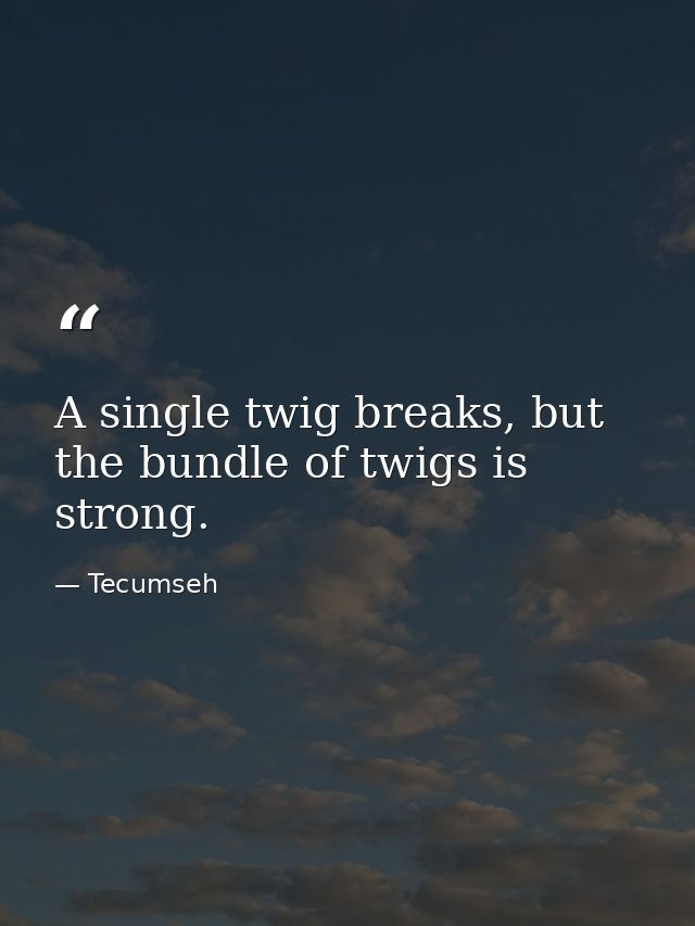 A single twig breaks, but the bundle of twigs is strong. — Tecumseh