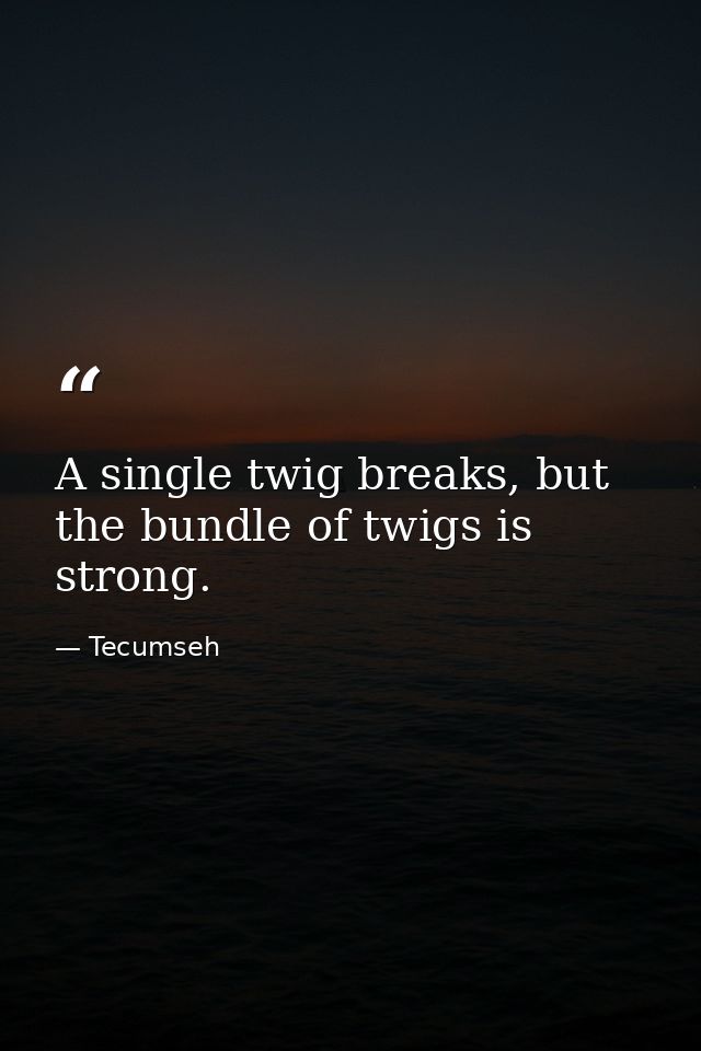 A single twig breaks, but the bundle of twigs is strong. — Tecumseh