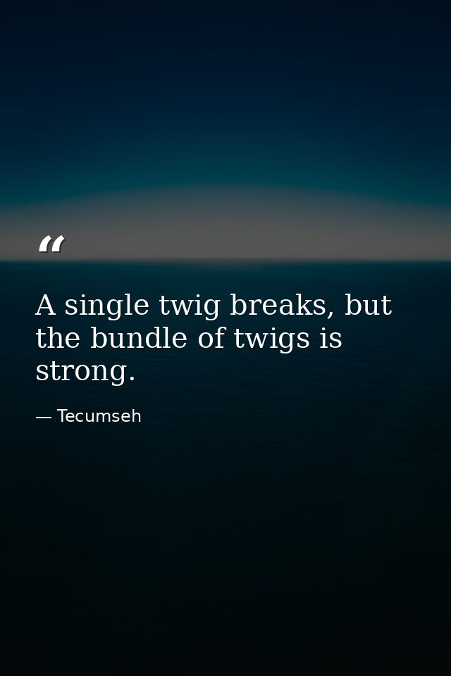 A single twig breaks, but the bundle of twigs is strong. — Tecumseh