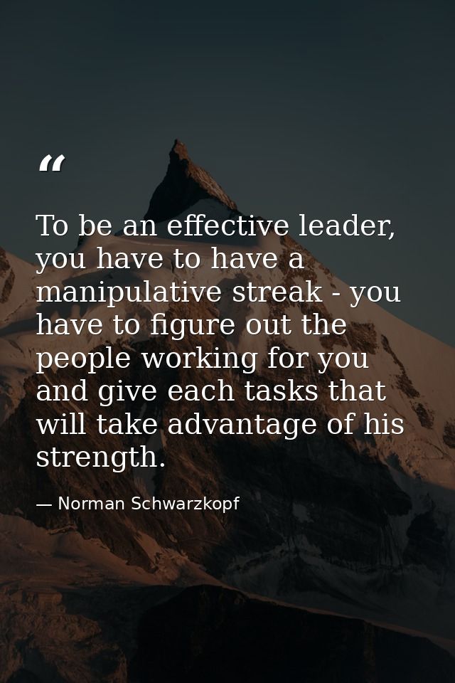To be an effective leader, you have to have a manipulative streak - you have to figure out the people working for you an — Norman Schwarzkopf