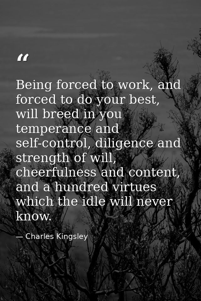Being forced to work, and forced to do your best, will breed in you temperance and self-control, diligence and strength  — Charles Kingsley