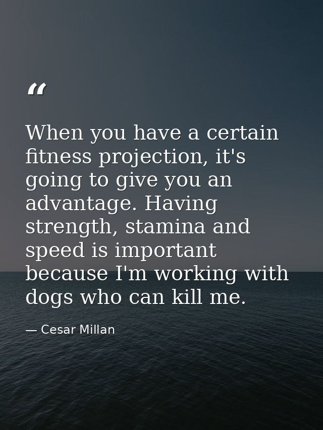 When you have a certain fitness projection, it's going to give you an advantage. Having strength, stamina and speed is i — Cesar Millan