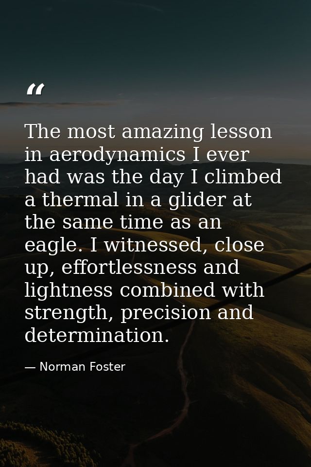 The most amazing lesson in aerodynamics I ever had was the day I climbed a thermal in a glider at the same time as an ea — Norman Foster