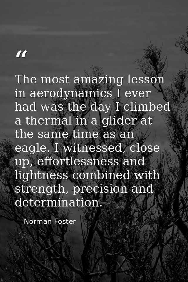 The most amazing lesson in aerodynamics I ever had was the day I climbed a thermal in a glider at the same time as an ea — Norman Foster