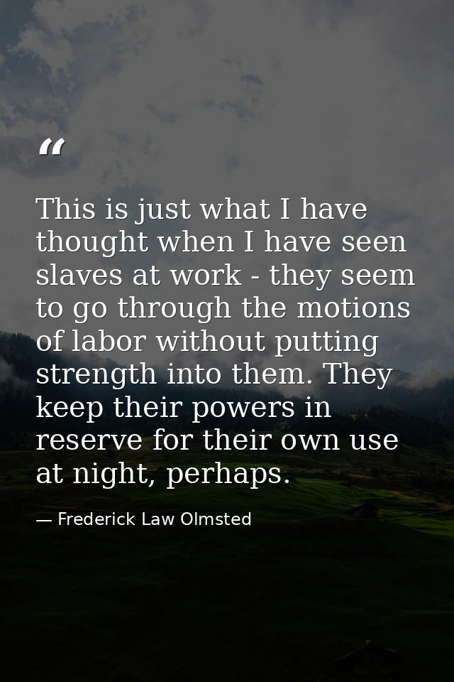 This is just what I have thought when I have seen slaves at work - they seem to go through the motions of labor without  — Frederick Law Olmsted