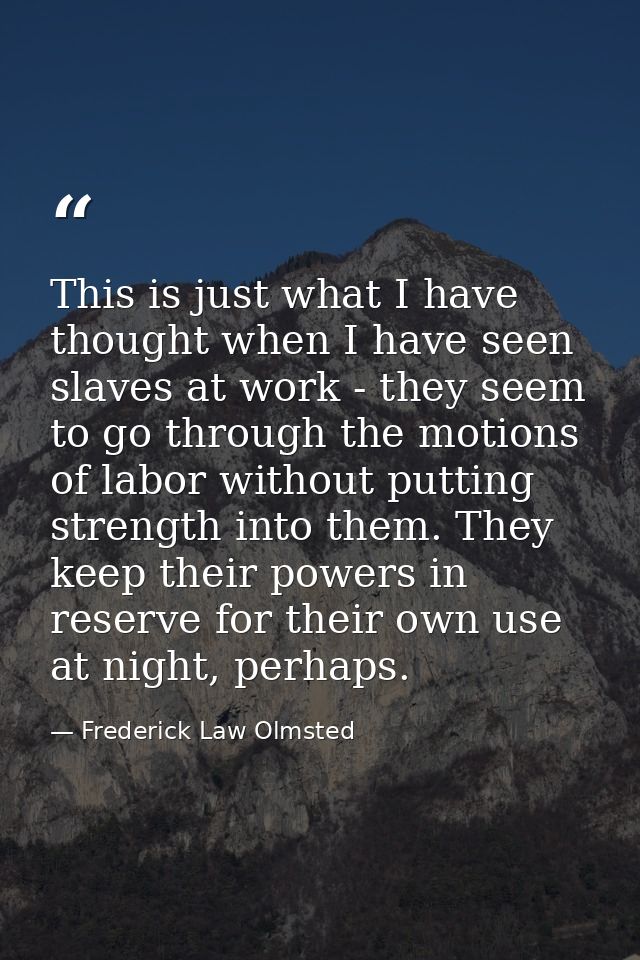 This is just what I have thought when I have seen slaves at work - they seem to go through the motions of labor without  — Frederick Law Olmsted