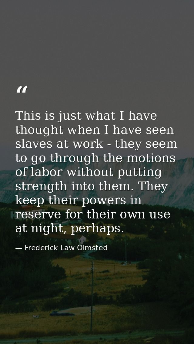 This is just what I have thought when I have seen slaves at work - they seem to go through the motions of labor without  — Frederick Law Olmsted