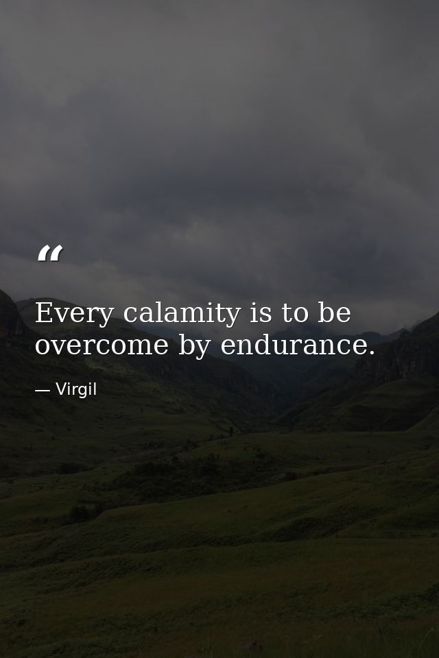 Every calamity is to be overcome by endurance. — Virgil