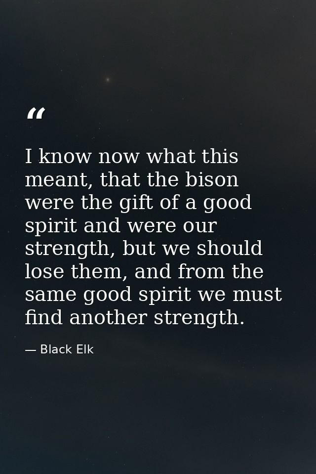 I know now what this meant, that the bison were the gift of a good spirit and were our strength, but we should lose them — Black Elk