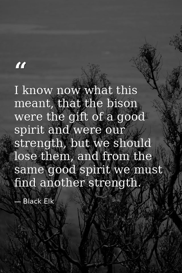 I know now what this meant, that the bison were the gift of a good spirit and were our strength, but we should lose them — Black Elk