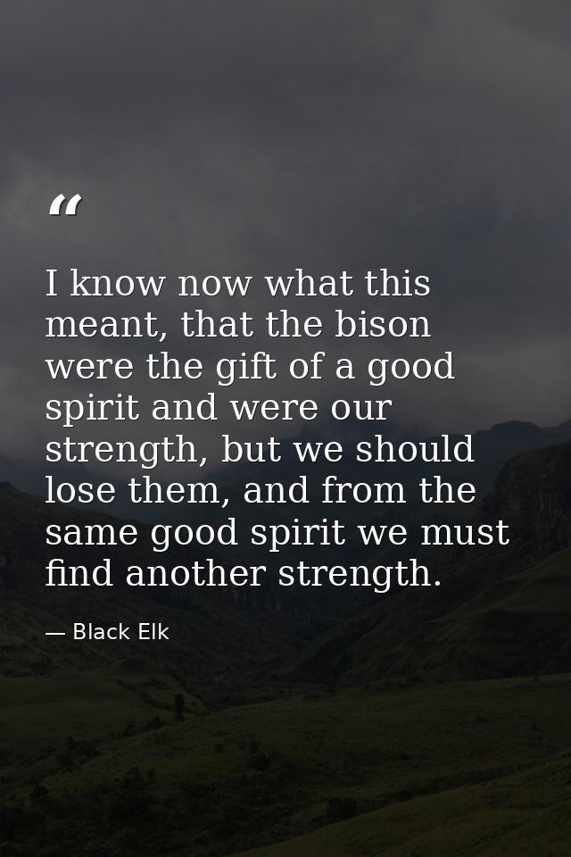 I know now what this meant, that the bison were the gift of a good spirit and were our strength, but we should lose them — Black Elk