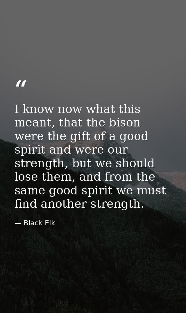 I know now what this meant, that the bison were the gift of a good spirit and were our strength, but we should lose them — Black Elk